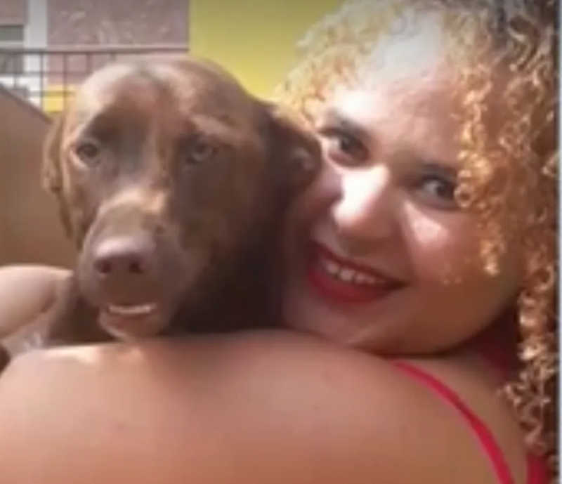 Cachorro havia fugido de casa um dia antes de ser morto a pauladas — Foto: Reprodução TV Subaé