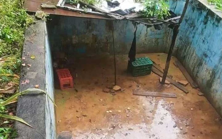 Cachorros foram encontrados sem alimentação ou higiene em piscina, em Ipu. Divulgação/SSPDS