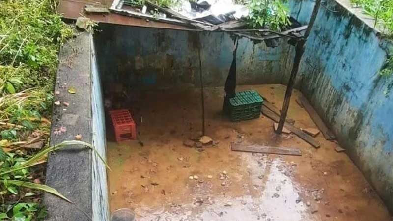 Homem que mantinha quatro cachorros em piscina abandonada é preso no interior do Ceará