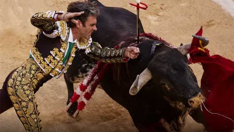 Espanha aprova lei contra maus-tratos aos animais, que não se aplica às touradas