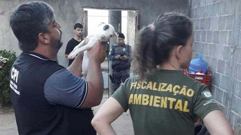 Filhote de cachorro é resgatado na Serra (ES) depois de ficar mais de 24h preso em caixa d’água