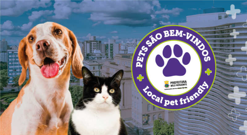 Decreto permite que animais de estimação frequentem estabelecimentos em Belo Horizonte, MG