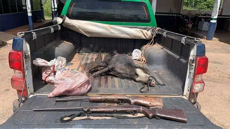 Carcaça de animais mortos e dois rifles de calibre 22 sem registro foram apreendidos. (Foto: PMA)