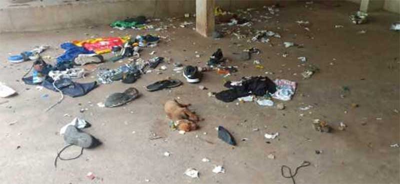 Homem é preso por maltratar filhos menores em Várzea Grande, MT; cães mortos e debilitados são resgatados
