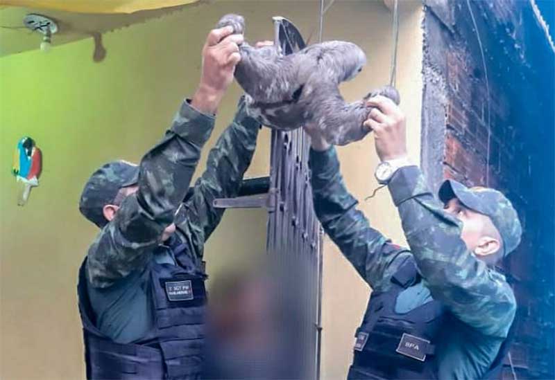 Batalhão de Polícia Ambiental do Pará orienta sobre resgate de animais silvestres