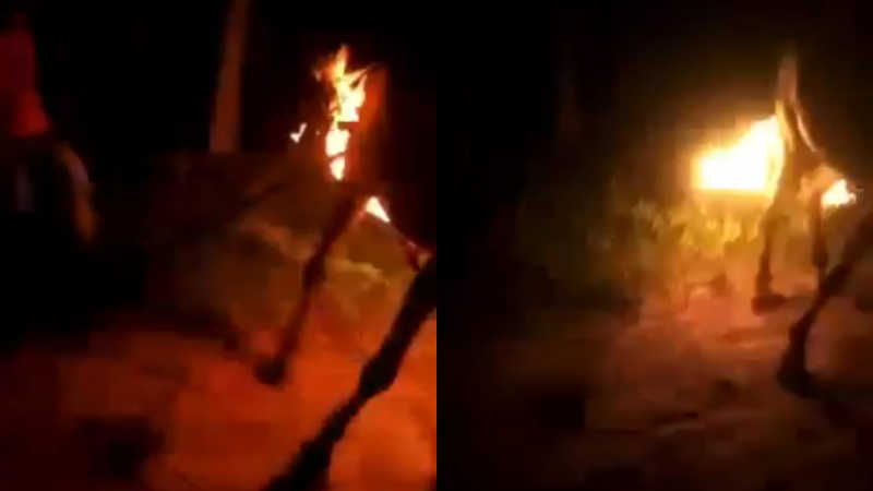 Vídeo: grupo incendeia cauda de cavalo com gasolina no Pará