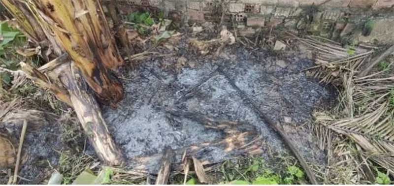 Cães queimados são achados na casa de homem preso por maus-tratos; há suspeita de venda de carne de animais