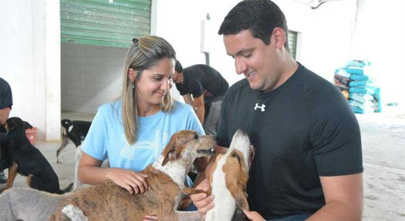 Vereadora quer que Prefeitura crie Samu para animais no Recife, PE