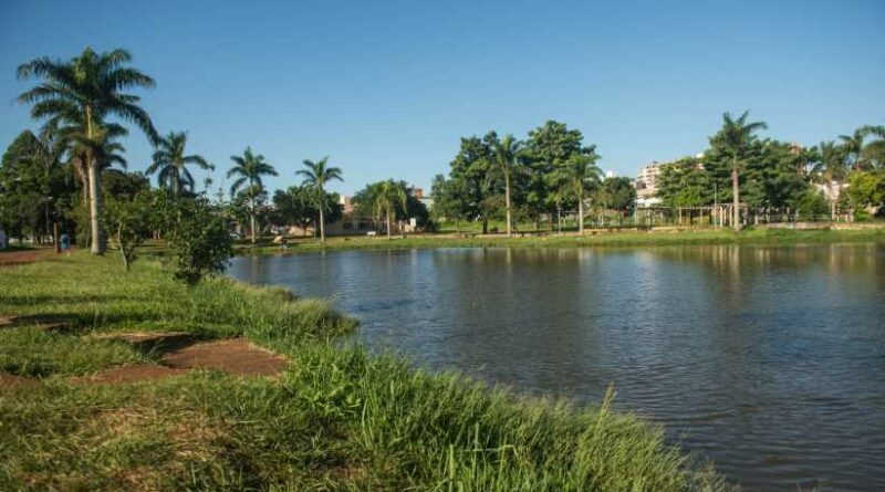 Vereador quer remover jacaré do Parque Remador para lugar ‘mais adequado’, em Foz do Iguaçu, PR