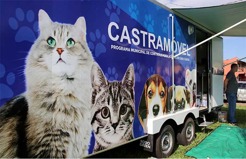 Castramóvel chega aos três anos com mais de 27 mil cães e gatos atendidos em Londrina, PR