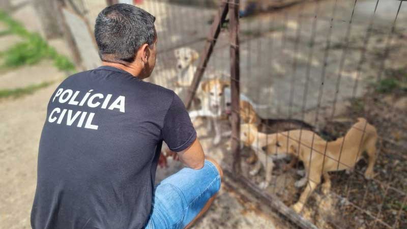 Ação averiguou mais de 80 denúncias de maus-tratos contra animais - Foto: Policia Civil RS