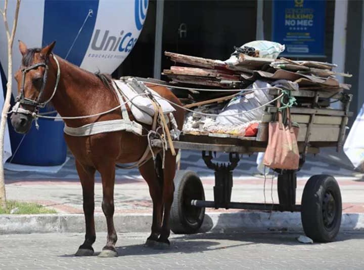 Carroças movidas por cavalos estariam entre as proibições (imagem meramente ilustrativa – FONTE Prefeitura de Sobral)