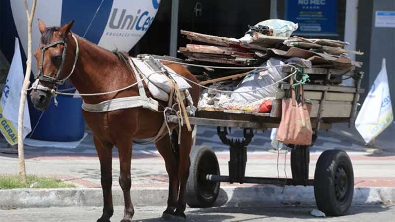 Carroças movidas por cavalos estariam entre as proibições (imagem meramente ilustrativa – FONTE Prefeitura de Sobral)