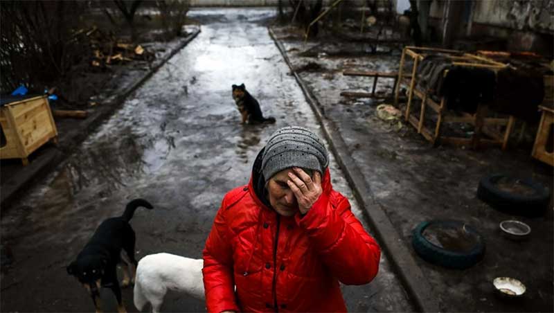 Elena Bubenko, a mulher que cuida dos animais vítimas da guerra