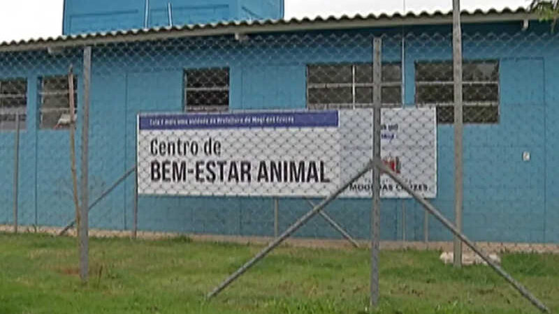 Pelo menos 5 das 10 cidades do Alto Tietê (SP) oferecem atendimento veterinário gratuito