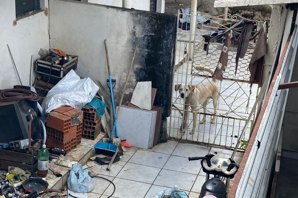 Homem é preso por maus-tratos animais na região central de Capivari, SP