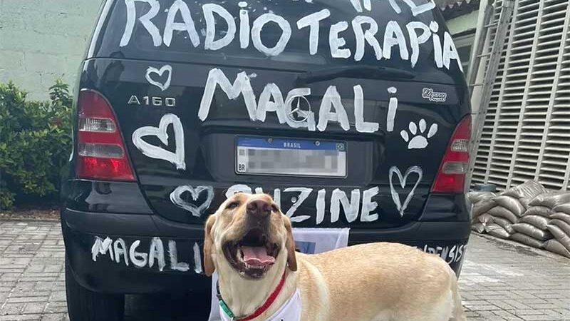 Tutores de Magali, cadela de Guarujá que venceu o câncer, 'bateram o sino' e realizaram uma carreata para comemorar — Foto: Arquivo pessoal