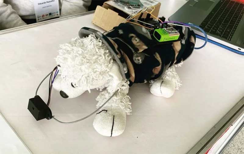Estudantes de Itatiba (SP) desenvolvem protótipo que detecta obstáculos para pets com deficiência visual