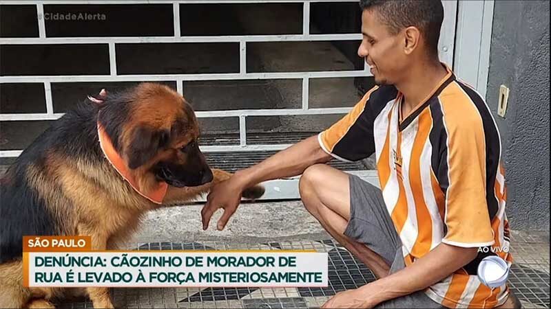 Denúncia: cãozinho de morador de rua é levado à força misteriosamente
