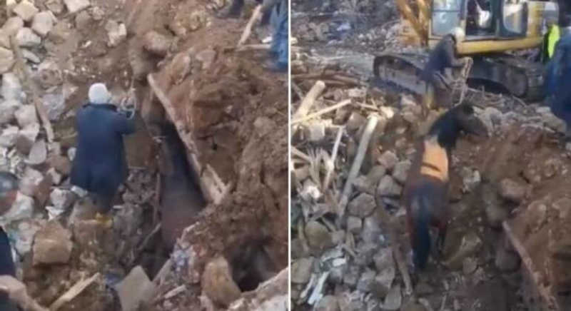 Milagre! Cavalo é resgatado com vida após 21 dias do terremoto