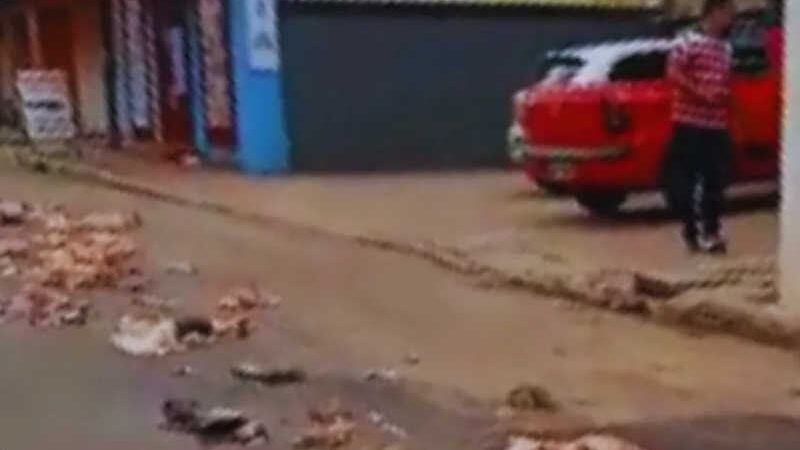 Vídeo mostra supostos cachorros mortos caídos de caminhão em Rio Branco, no Acre