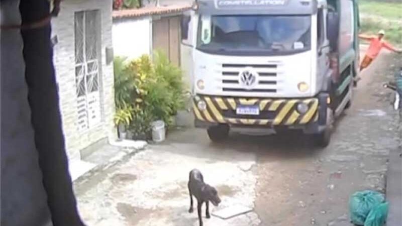 Funcionário joga cão ‘no lixo’ após caminhão de coleta atropelar animal; envolvidos foram demitidos