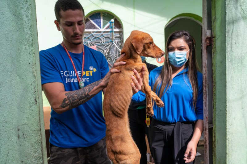 Animais domésticos são resgatados em situação de vulnerabilidade no Nossa Senhora das Graças, em Manaus, AM