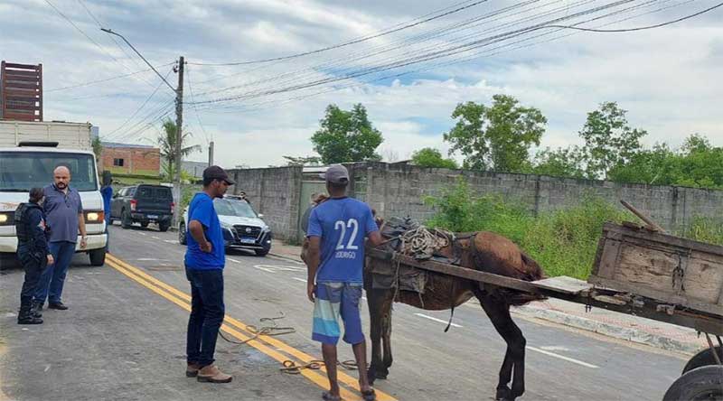 ​Prefeitura apreende veículo de tração animal que extraía areia em Jacarenema, Vila Velha, ES