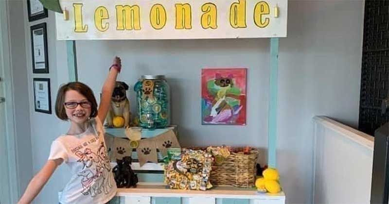 Menina de 11 anos fatura mais de 60 mil dólares com limonada para ajudar animais
