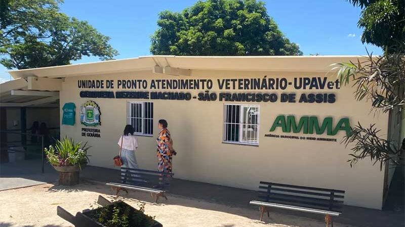 Primeiro hospital público veterinário de Goiânia passa a fazer cirurgias em animais