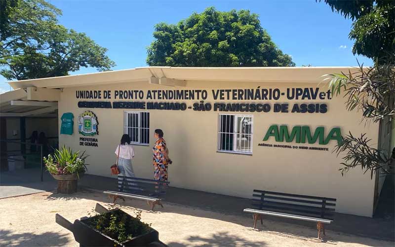 Primeiro hospital público veterinário de Goiânia passa a fazer cirurgias em animais