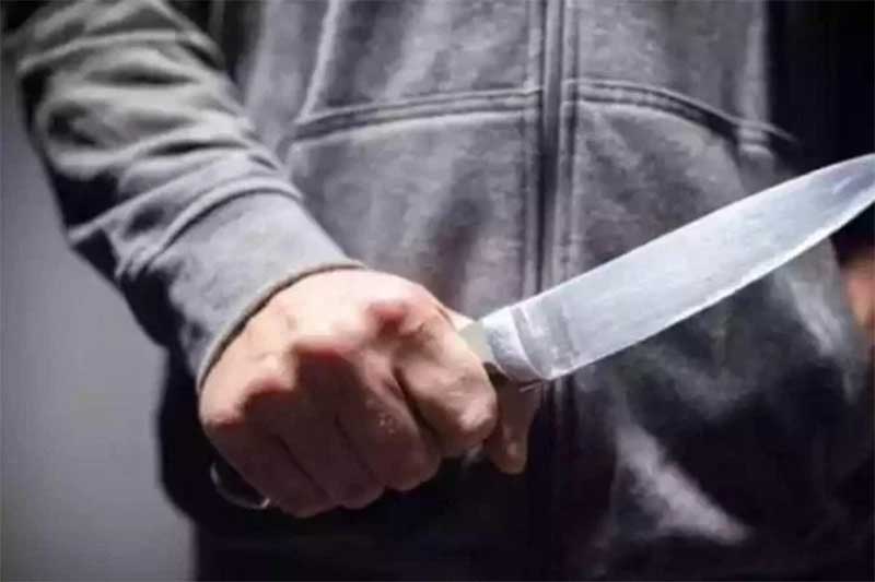 Homem mata a facadas pitbull de ex-companheira depois de tentar agredi-la, em MG