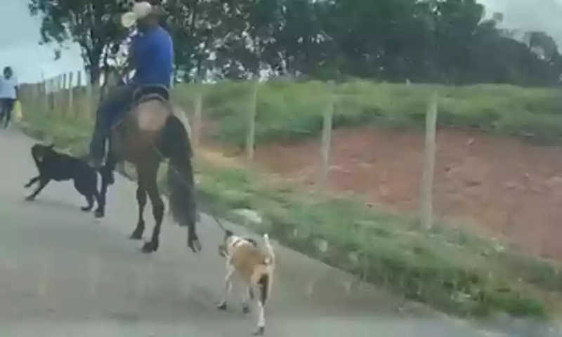 Vídeo: mulher denuncia homem a cavalo que puxava cachorro amarrado