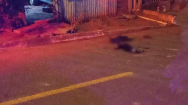 Homem agride esposa e mata dois cachorros com golpes de facão em Rondonópolis, MT