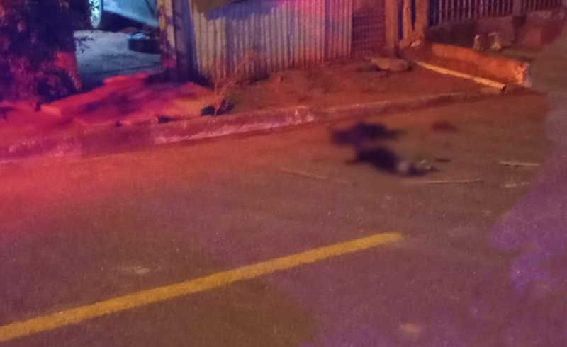 Homem agride esposa e mata dois cachorros com golpes de facão em Rondonópolis, MT