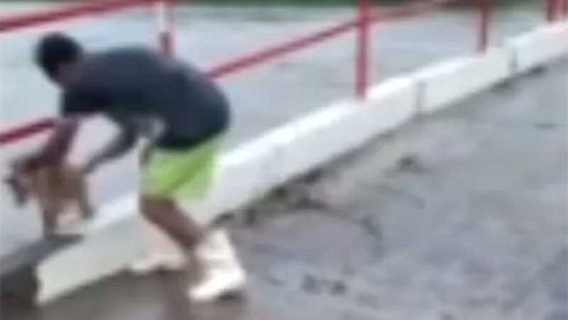 VÍDEO: homem é preso após arremessar cachorro em correnteza no Sertão de Pernambuco