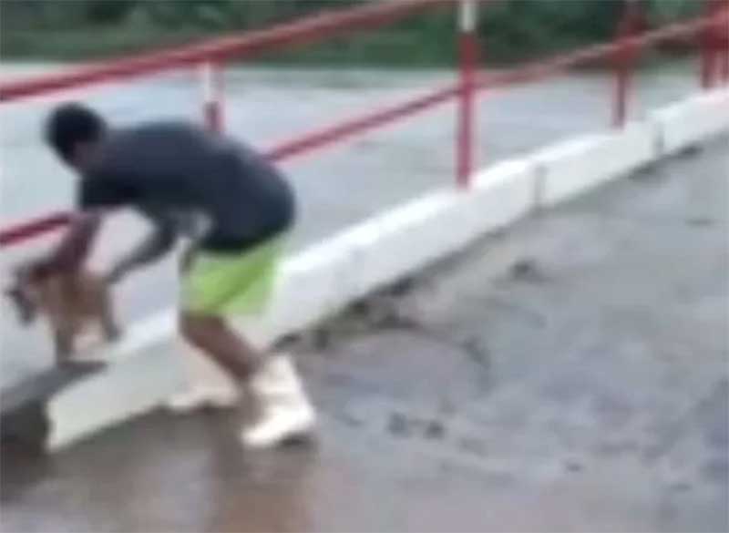 VÍDEO: homem é preso após arremessar cachorro em correnteza no Sertão de Pernambuco