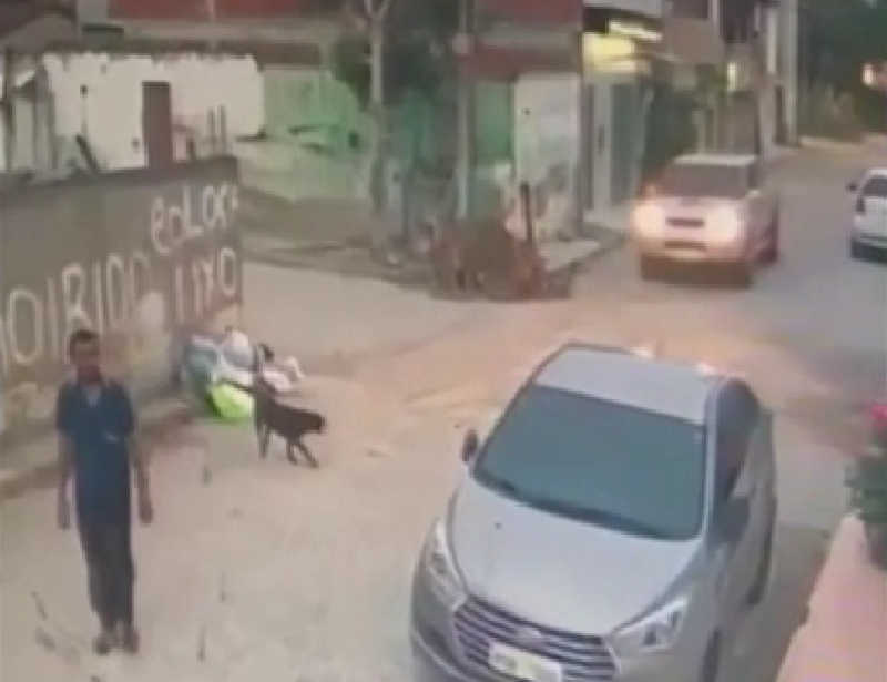 Motorista é flagrado atropelando cachorro em rua de Caruaru, PE; vídeo