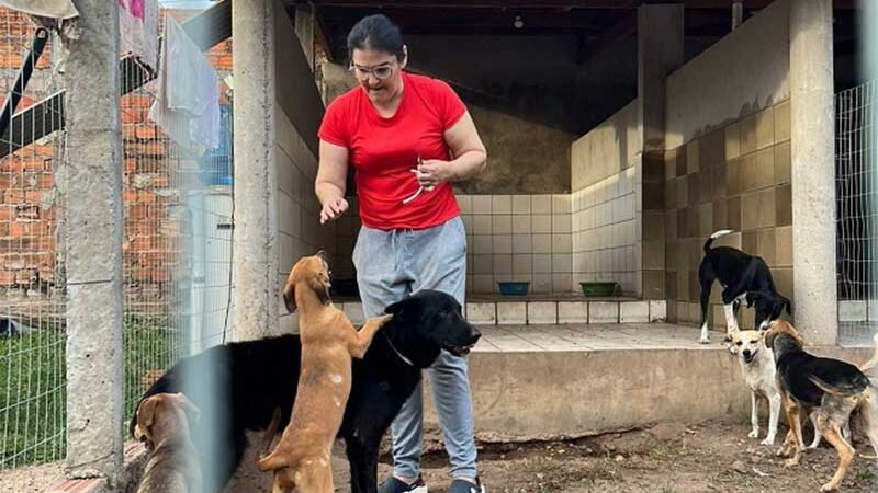 Em Teresina (PI), protetora que cuida de 160 animais pede ajuda para manter abrigo
