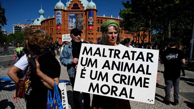 Partidos de Portugal concordam em consagrar bem-estar animal na Constituição
