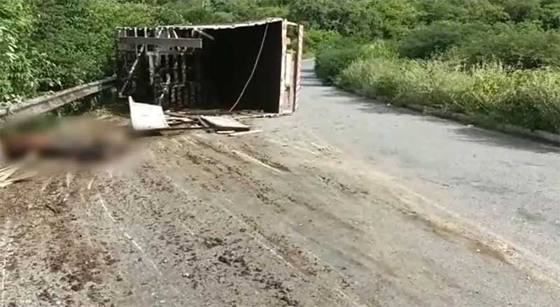 Caminhão boiadeiro tomba em estrada no interior do RN e parte dos animais transportados morre