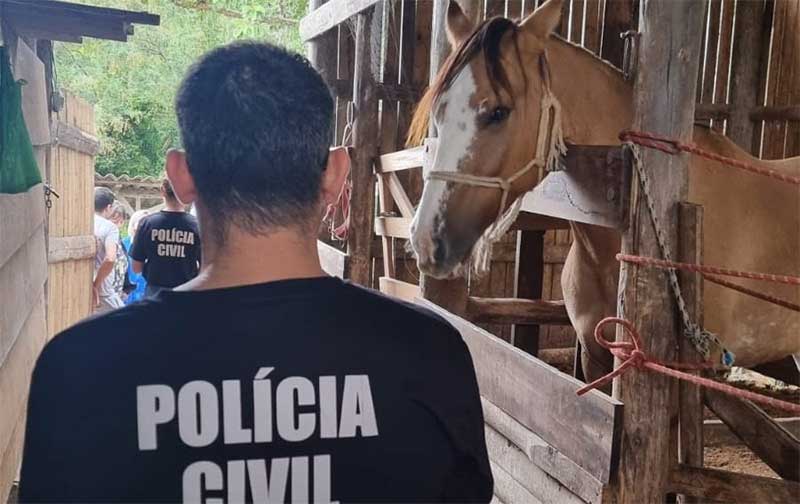 Denúncia acaba com homem preso por maus-tratos a 65 animais em Palhoça, SC