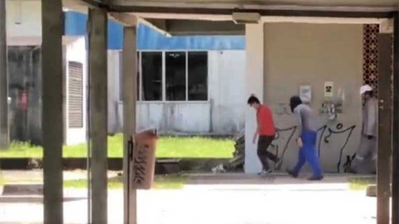 Três homens são flagrados maltratando gata na Universidade Federal de Sergipe; vídeo