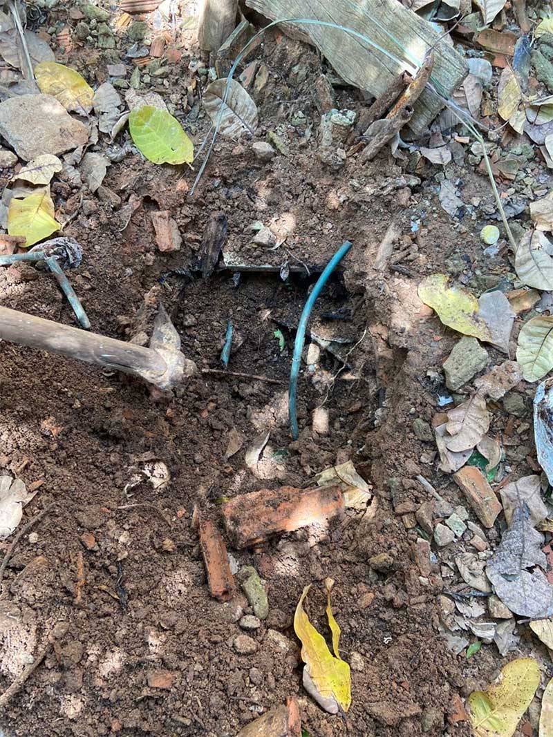 Local onde a cachorra teria sido enterrada (Foto: Divulgação)