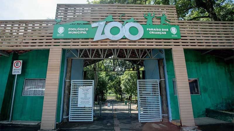 Após ações emergenciais, MP cobra adequação em recintos, limpeza e relatório de melhorias ambientais no zoológico de Piracicaba