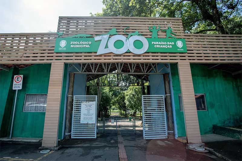 Após ações emergenciais, MP cobra adequação em recintos, limpeza e relatório de melhorias ambientais no zoológico de Piracicaba