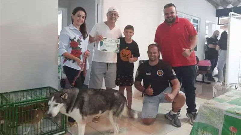 Ribeirão Pires (SP) inicia doações de cachorros resgatados em canil clandestino