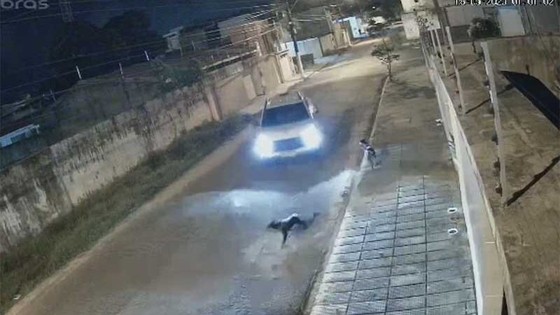 Empresário que atropelou cão em Maceió (AL) é identificado e presta depoimento à polícia; vídeo