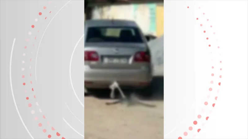 Motorista que arrastou cachorro amarrado a carro em Maceió (AL) é identificado e intimado a depor