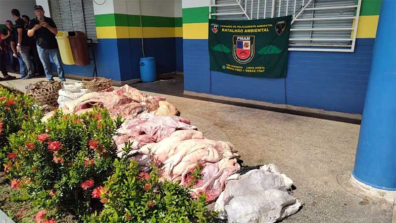 Batalhão Ambiental apreende 781 kg de carne de animais silvestre em feira no AM